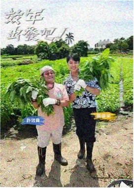 gogogo高清完整版 山野民宿日记 综艺在线观看